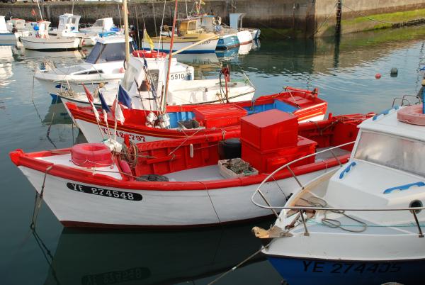 L'île d'Yeu