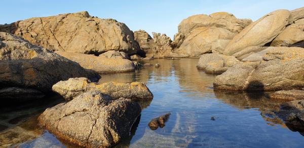 L'île d'Yeu